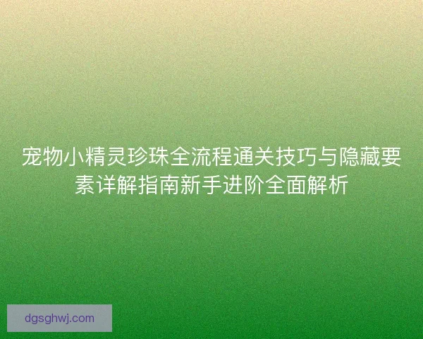 宠物小精灵珍珠全流程通关技巧与隐藏要素详解指南新手进阶全面解析